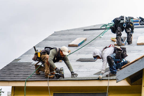 Professional Gutter Installation technician working in Phil Campbell, AL